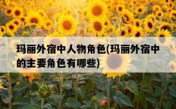 瑪麗外宿中人物角色，瑪麗外宿中的主要角色有哪些