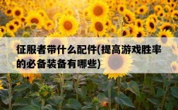 征服者帶什么配件，提高游戲勝率的必備裝備有哪些