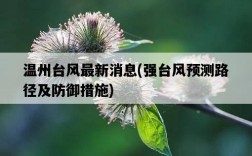 溫州臺風最新消息，強臺風預測路徑及防御措施