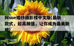 阿sue婚紗攝影樓中文版，最新款式，超高顏值，讓你成為最美新娘