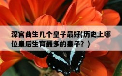 深宮曲生幾個皇子最好，歷史上哪位皇后生育最多的皇子？