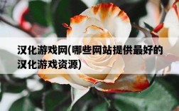 漢化游戲網，哪些網站提供最好的漢化游戲資源