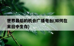 世界最后的機會廣播電臺，如何在末日中生存