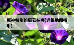 原神特別的蘑菇在哪，詳細地圖指引