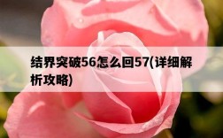 結界突破56怎么回57，詳細解析攻略
