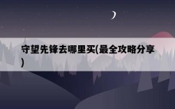 守望先鋒去哪里買，最全攻略分享