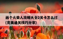 畫個火柴人攻略大全2關卡怎么過，完美通關技巧分享