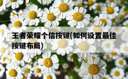 王者榮耀個信按鍵，如何設置最佳按鍵布局