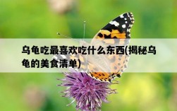 烏龜吃最喜歡吃什么東西，揭秘烏龜的美食清單