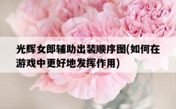 光輝女郎輔助出裝順序圖，如何在游戲中更好地發揮作用