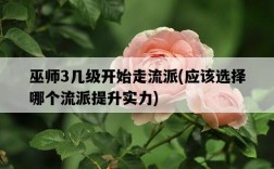巫師3幾級開始走流派，應該選擇哪個流派提升實力