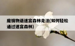 魔鏡物語迷宮森林走法，如何輕松通過迷宮森林