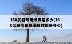 160武器專用爆滿是多少，160武器專用爆滿屬性值是多少