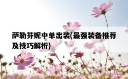 薩勒芬妮中單出裝，最強裝備推薦及技巧解析