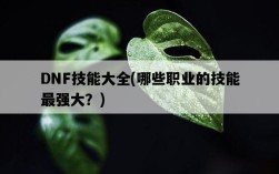 DNF技能大全，哪些職業的技能最強大？
