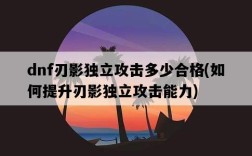 dnf刃影獨立攻擊多少合格，如何提升刃影獨立攻擊能力