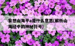 妄想山海平a是什么意思，解析山海經中的神秘符號