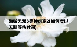 海賊無雙3等待玩家2，如何度過無聊等待時間