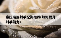 泰拉瑞亞射手配飾推薦，如何提升射手能力