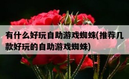 有什么好玩自助游戲蜘蛛，推薦幾款好玩的自助游戲蜘蛛