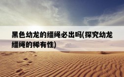 黑色幼龍的韁繩必出嗎，探究幼龍韁繩的稀有性