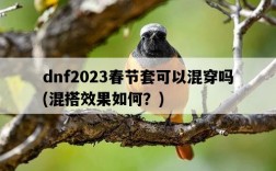 dnf2023春節套可以混穿嗎，混搭效果如何？