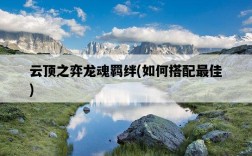 云頂之弈龍魂羈絆，如何搭配最佳