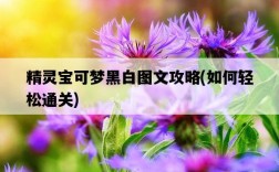 精靈寶可夢黑白圖文攻略，如何輕松通關