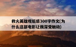 救火英雄觀后感300字作文，為什么這部電影讓我深受觸動