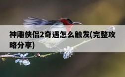 神雕俠侶2奇遇怎么觸發，完整攻略分享