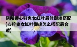 陰陽師心狩鬼女紅葉最佳御魂搭配，心狩鬼女紅葉御魂怎么搭配最合適