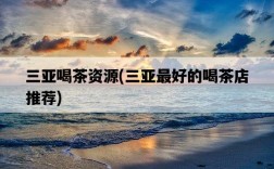 三亞喝茶資源，三亞最好的喝茶店推薦