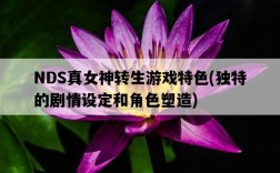 NDS真女神轉生游戲特色，獨特的劇情設定和角色塑造