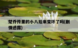 楚喬傳里的小八后來變壞了嗎，劇情透露