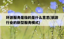 環游服務是指的是什么意思，旅游行業的新型服務模式