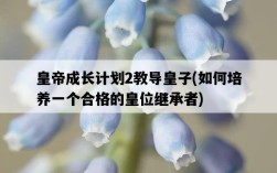 皇帝成長計劃2教導皇子，如何培養一個合格的皇位繼承者