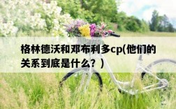 格林德沃和鄧布利多cp,他們的關系到底是什么?