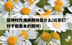 狙神時代沸騰期待是什么，玩家們對于新版本的期待