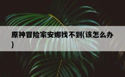 原神冒險家安娜找不到，該怎么辦