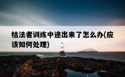 枯法者訓練中途出來了怎么辦，應該如何處理