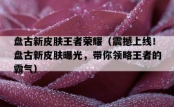 盤古新皮膚王者榮耀（震撼上線！盤古新皮膚曝光，帶你領略王者的霸氣）
