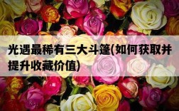 光遇最稀有三大斗篷，如何獲取并提升收藏價值