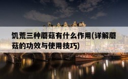 饑荒三種蘑菇有什么作用，詳解蘑菇的功效與使用技巧