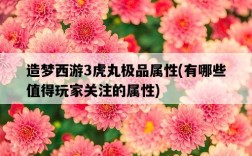造夢西游3虎丸極品屬性，有哪些值得玩家關注的屬性