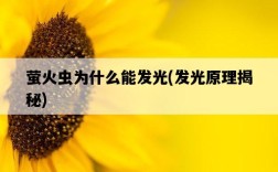 螢火蟲為什么能發光，發光原理揭秘