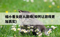 縮小看女巨人游戲，如何讓游戲更加真實