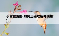小臂位置圖，如何正確理解并使用