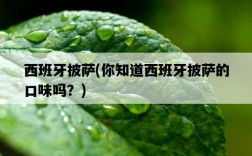 西班牙披薩，你知道西班牙披薩的口味嗎？