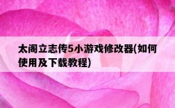 太閣立志傳5小游戲修改器，如何使用及下載教程