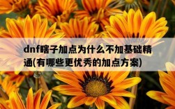 dnf瞎子加點為什么不加基礎精通，有哪些更優秀的加點方案